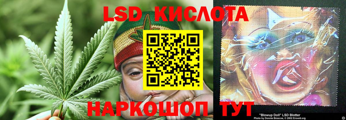 Лсд 25 экстази кислота Новотроицк