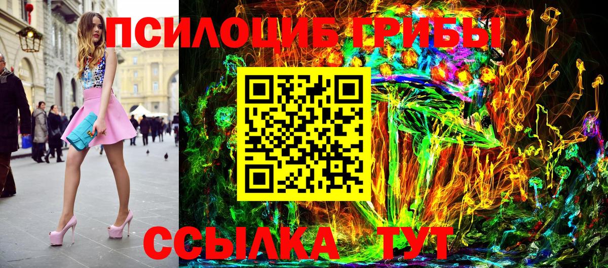 Галлюциногенные грибы Psilocybe  Вход с VPN  Новотроицк 