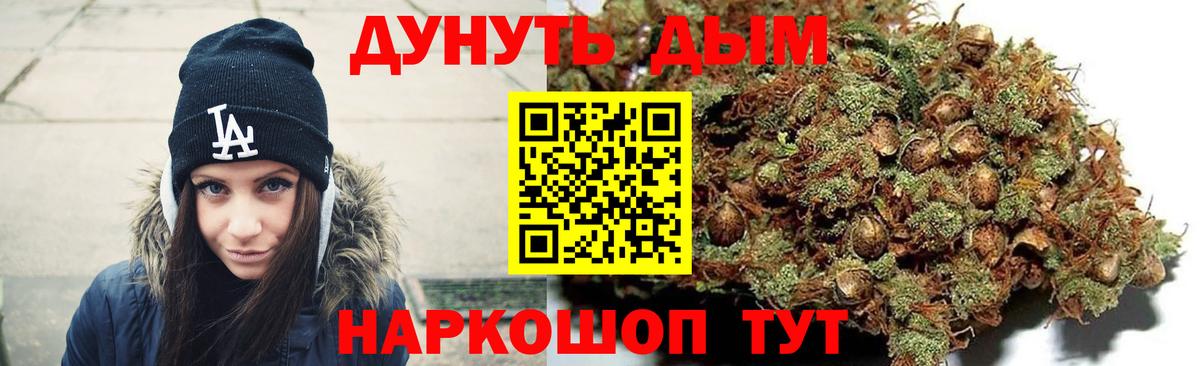 Бошки марихуана Bruce Banner Новотроицк
